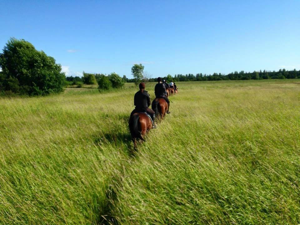 فندق Sassi Talu Horsefarm بارنوما المظهر الخارجي الصورة